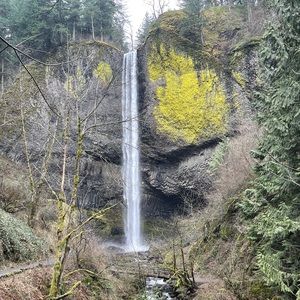 Meet your Posher, Dylan